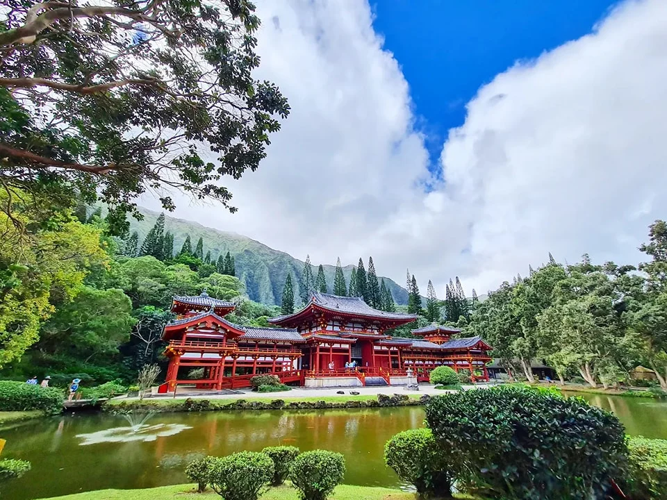 Cruising with Danny and Peter, Holland America Line, Koningsdam, Honolulu, Hawaii, United States | Stunning aerial view of Waikiki Beach from a Hawaii helicopter tour, capturing the turquoise waters, golden sands, and iconic skyline. Majestic Ko'olau Mountains flight showcasing the lush, rugged peaks of Oahu from above. Pearl Harbor aerial view offering a solemn and powerful glimpse of the historic site. Scenic helicopter ride over Hawaii’s coast, revealing the island’s breathtaking landscapes and vibrant colors. An unforgettable Hawaii sightseeing adventure highlighting the beauty of Oahu’s windward coast, north shore, and serene tropical rainforests.