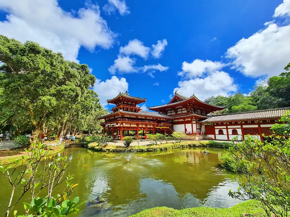 Cruising with Danny and Peter, Holland America Line, Koningsdam, Honolulu, Hawaii, United States | Stunning aerial view of Waikiki Beach from a Hawaii helicopter tour, capturing the turquoise waters, golden sands, and iconic skyline. Majestic Ko'olau Mountains flight showcasing the lush, rugged peaks of Oahu from above. Pearl Harbor aerial view offering a solemn and powerful glimpse of the historic site. Scenic helicopter ride over Hawaii’s coast, revealing the island’s breathtaking landscapes and vibrant colors. An unforgettable Hawaii sightseeing adventure highlighting the beauty of Oahu’s windward coast, north shore, and serene tropical rainforests.