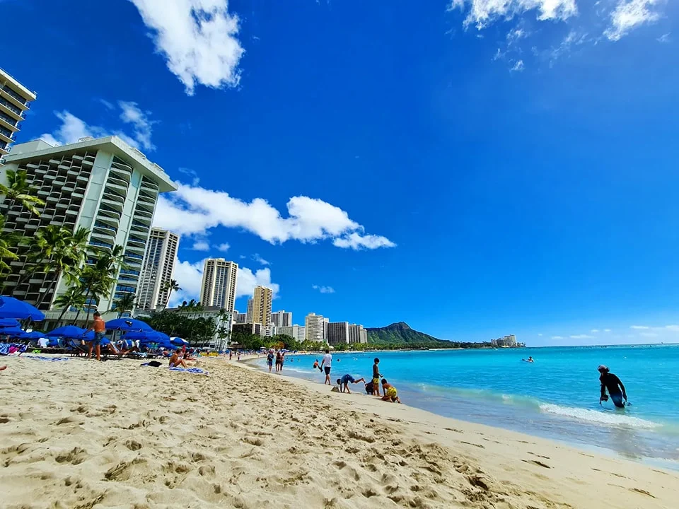 Cruising with Danny and Peter, Holland America Line, Koningsdam, Honolulu, Hawaii, United States | Stunning aerial view of Waikiki Beach from a Hawaii helicopter tour, capturing the turquoise waters, golden sands, and iconic skyline. Majestic Ko'olau Mountains flight showcasing the lush, rugged peaks of Oahu from above. Pearl Harbor aerial view offering a solemn and powerful glimpse of the historic site. Scenic helicopter ride over Hawaii’s coast, revealing the island’s breathtaking landscapes and vibrant colors. An unforgettable Hawaii sightseeing adventure highlighting the beauty of Oahu’s windward coast, north shore, and serene tropical rainforests.
