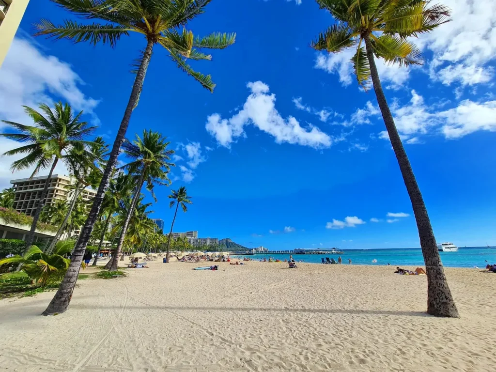 Cruising with Danny and Peter, Holland America Line, Koningsdam, Honolulu, Hawaii, United States | Stunning aerial view of Waikiki Beach from a Hawaii helicopter tour, capturing the turquoise waters, golden sands, and iconic skyline. Majestic Ko'olau Mountains flight showcasing the lush, rugged peaks of Oahu from above. Pearl Harbor aerial view offering a solemn and powerful glimpse of the historic site. Scenic helicopter ride over Hawaii’s coast, revealing the island’s breathtaking landscapes and vibrant colors. An unforgettable Hawaii sightseeing adventure highlighting the beauty of Oahu’s windward coast, north shore, and serene tropical rainforests.