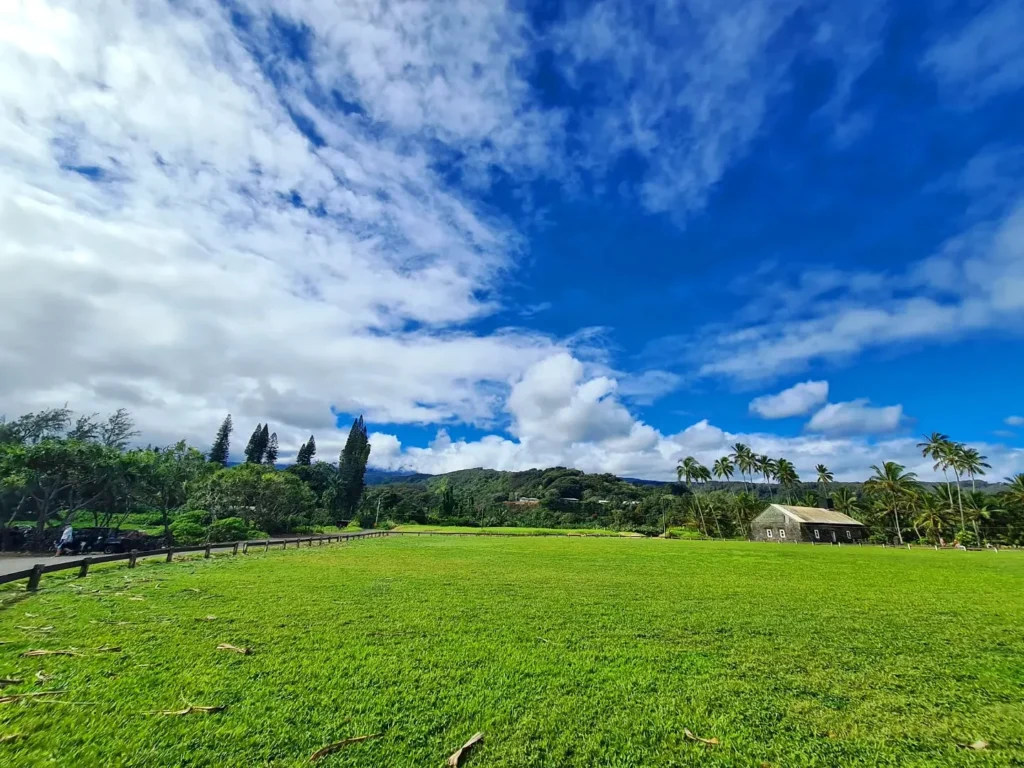 Cruising with Danny and Peter, Holland America Line, Koningsdam, Kahului, Maui, Hawaii, United States | Stunning views along the Road to Hana, showcasing Maui’s breathtaking waterfalls, lush Hana rainforest, captivating black sand beaches, and serene Turtle Beach Maui, with glimpses of whale watching opportunities and picturesque coastal views during this unforgettable Maui road trip adventure.