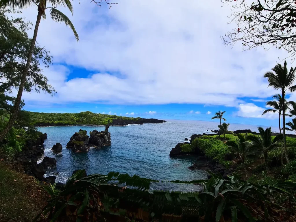 Cruising with Danny and Peter, Holland America Line, Koningsdam, Kahului, Maui, Hawaii, United States | Stunning views along the Road to Hana, showcasing Maui’s breathtaking waterfalls, lush Hana rainforest, captivating black sand beaches, and serene Turtle Beach Maui, with glimpses of whale watching opportunities and picturesque coastal views during this unforgettable Maui road trip adventure.