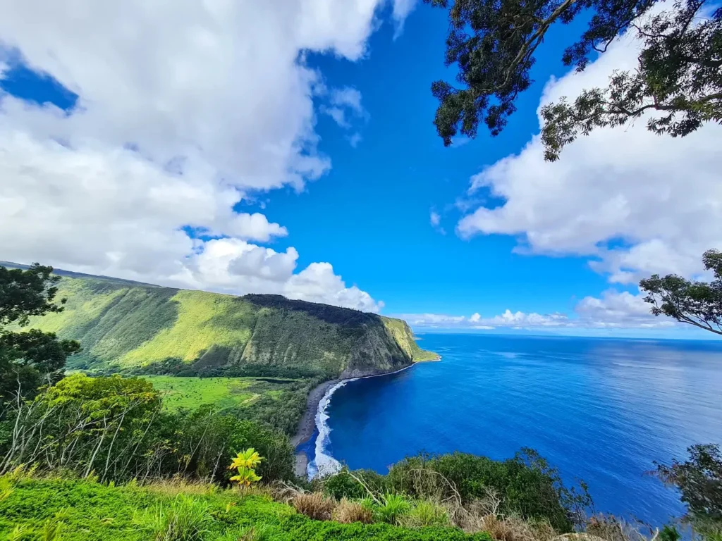 Cruising with Danny and Peter, Holland America Line, Koningsdam, Hilo, Hawaii, United States | Scenic Hamakua Coast Hilo Adventure in Hawaii featuring lush valleys, cascading waterfalls, hidden gems, and breathtaking ocean views along the tropical coastline.