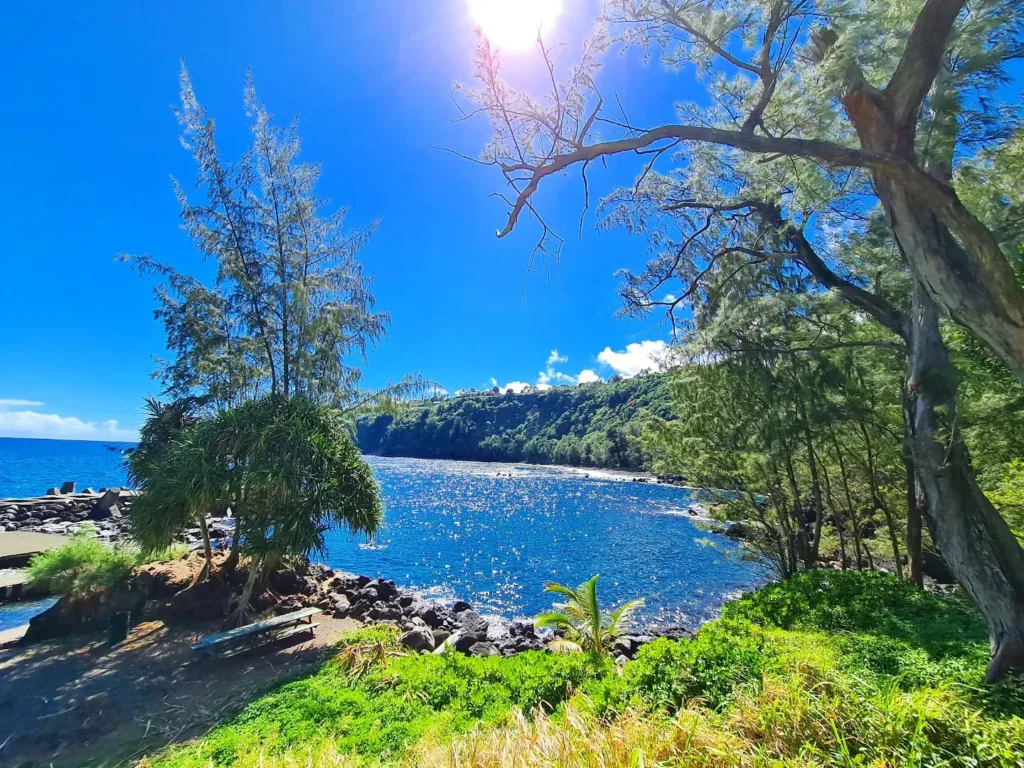 Cruising with Danny and Peter, Holland America Line, Koningsdam, Hilo, Hawaii, United States | Scenic Hamakua Coast Hilo Adventure in Hawaii featuring lush valleys, cascading waterfalls, hidden gems, and breathtaking ocean views along the tropical coastline.