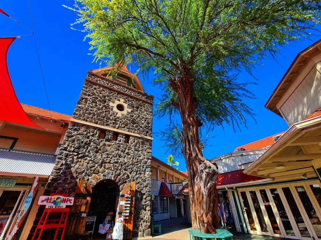 Cruising with Danny and Peter, Holland America Line, Koningsdam, Kona, Hawaii, United-States | A vibrant scene showcasing the beauty of Kona Hawaii, featuring secluded beaches with soft sand and crystal-clear waters, colorful storefronts along the bustling streets, and breathtaking scenic views of the Kona coast during sunset. The image captures the essence of Exploring Kona's Island Charm, highlighting local culture with hula dancers and delicious Hawaiian cuisine served at a beachfront restaurant.