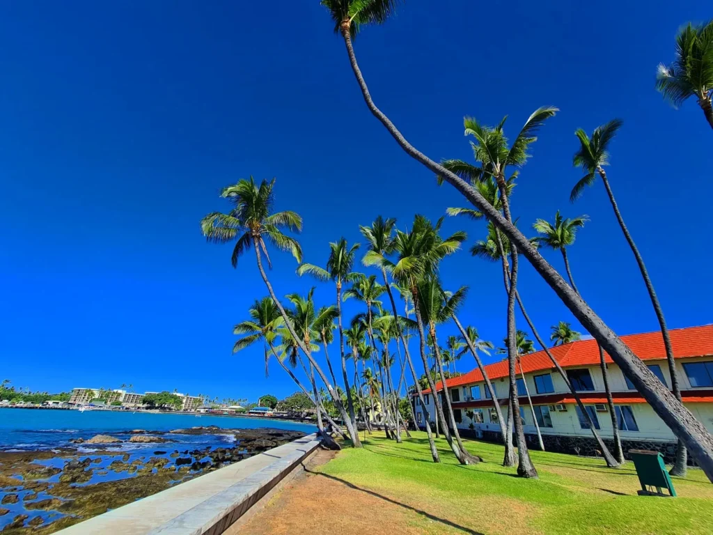 Cruising with Danny and Peter, Holland America Line, Koningsdam, Kona, Hawaii, United-States | A vibrant scene showcasing the beauty of Kona Hawaii, featuring secluded beaches with soft sand and crystal-clear waters, colorful storefronts along the bustling streets, and breathtaking scenic views of the Kona coast during sunset. The image captures the essence of Exploring Kona's Island Charm, highlighting local culture with hula dancers and delicious Hawaiian cuisine served at a beachfront restaurant.