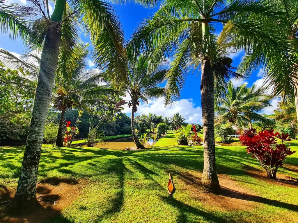 Cruising with Danny and Peter, Holland America Line, Koningsdam, Nawiliwili, Kauai, Hawaii, United States | Scenic views from the Nawiliwili Plantation Railway showcasing lush landscapes of Kauai, tropical fruit plantations, and historic plantation architecture, capturing the essence of a Hawaiian plantation experience.