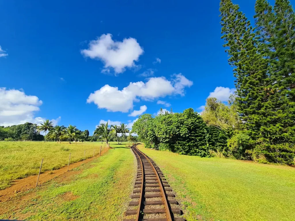 Cruising with Danny and Peter, Holland America Line, Koningsdam, Nawiliwili, Kauai, Hawaii, United States | Scenic views from the Nawiliwili Plantation Railway showcasing lush landscapes of Kauai, tropical fruit plantations, and historic plantation architecture, capturing the essence of a Hawaiian plantation experience.