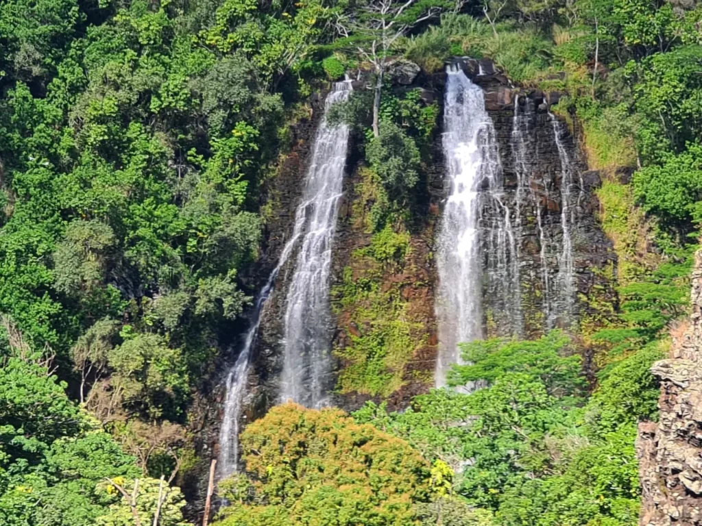 Cruising with Danny and Peter, Holland America Line, Koningsdam, Nawiliwili, Kauai, Hawaii, United States | Scenic views from the Nawiliwili Plantation Railway showcasing lush landscapes of Kauai, tropical fruit plantations, and historic plantation architecture, capturing the essence of a Hawaiian plantation experience.