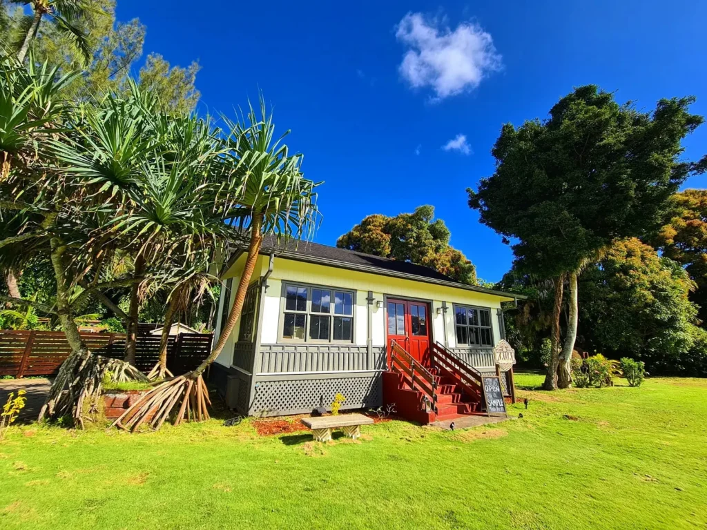 Cruising with Danny and Peter, Holland America Line, Koningsdam, Nawiliwili, Kauai, Hawaii, United States | Scenic views from the Nawiliwili Plantation Railway showcasing lush landscapes of Kauai, tropical fruit plantations, and historic plantation architecture, capturing the essence of a Hawaiian plantation experience.