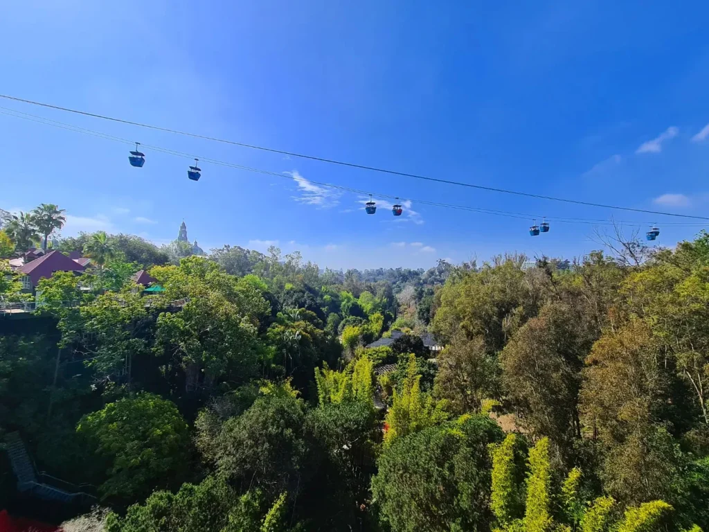Cruising with Danny and Peter, Holland America Line, Koningsdam, San Diego, California, United States | Visitors enjoying wildlife exploration at the San Diego Zoo, featuring a variety of animals in lush exhibits. Includes close-ups of majestic lions, playful pandas, and other fascinating species. The image also shows people savoring delicious San Diego fish tacos, highlighting the coastal dining experience in San Diego.