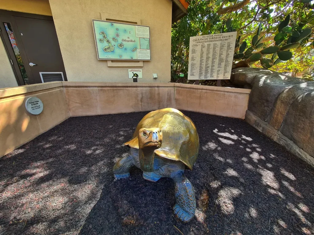 Cruising with Danny and Peter, Holland America Line, Koningsdam, San Diego, California, United States | Visitors enjoying wildlife exploration at the San Diego Zoo, featuring a variety of animals in lush exhibits. Includes close-ups of majestic lions, playful pandas, and other fascinating species. The image also shows people savoring delicious San Diego fish tacos, highlighting the coastal dining experience in San Diego.