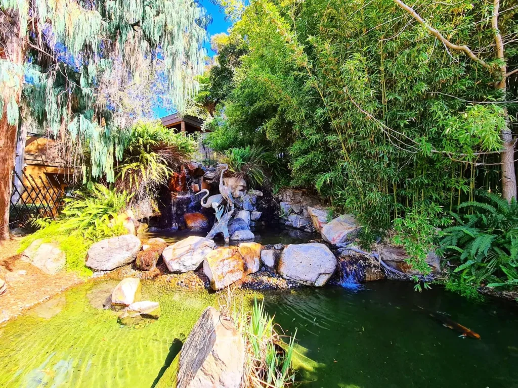 Cruising with Danny and Peter, Holland America Line, Koningsdam, San Diego, California, United States | Visitors enjoying wildlife exploration at the San Diego Zoo, featuring a variety of animals in lush exhibits. Includes close-ups of majestic lions, playful pandas, and other fascinating species. The image also shows people savoring delicious San Diego fish tacos, highlighting the coastal dining experience in San Diego.