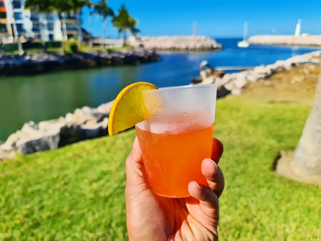 Cruising with Danny and Peter, Holland America Line, Koningsdam, Mazatlan, Mexico | Thrilling Mazatlán adventure tour highlights featuring speed boat rides across the Pacific Ocean, pulmonia car tour through Old Town Mazatlán, and resort relaxation.