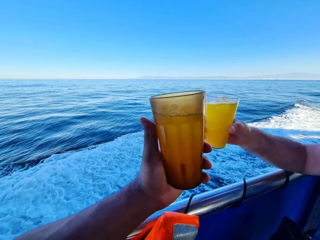 Cruising with Danny and Peter, Holland America Line, Koningsdam, Puerto Vallarta, Mexico | Las Caletas Beach in Puerto Vallarta featuring serene sandy shores, lush tropical greenery, and guests enjoying a relaxing beach day. The scene captures the essence of a secluded beach getaway with clear blue waters, vibrant Mexican cuisine, and the tranquil atmosphere of this hidden gem.