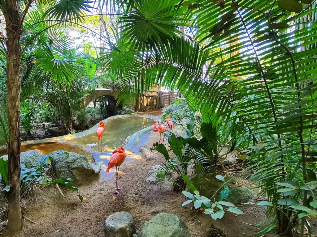 Cruising with Danny and Peter, Holland America Line, Koningsdam, Puerto Vallarta, Mexico | Las Caletas Beach in Puerto Vallarta featuring serene sandy shores, lush tropical greenery, and guests enjoying a relaxing beach day. The scene captures the essence of a secluded beach getaway with clear blue waters, vibrant Mexican cuisine, and the tranquil atmosphere of this hidden gem.