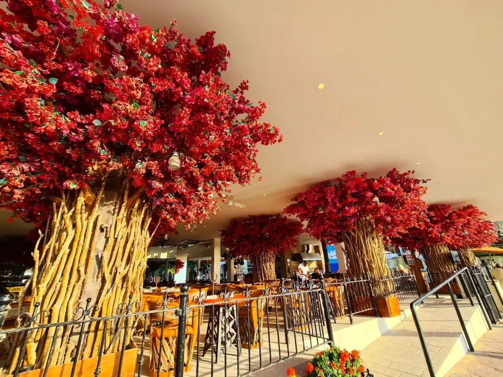 Cruising with Danny and Peter, Holland America Line, Koningsdam, Puerto Vallarta, Mexico | Las Caletas Beach in Puerto Vallarta featuring serene sandy shores, lush tropical greenery, and guests enjoying a relaxing beach day. The scene captures the essence of a secluded beach getaway with clear blue waters, vibrant Mexican cuisine, and the tranquil atmosphere of this hidden gem.