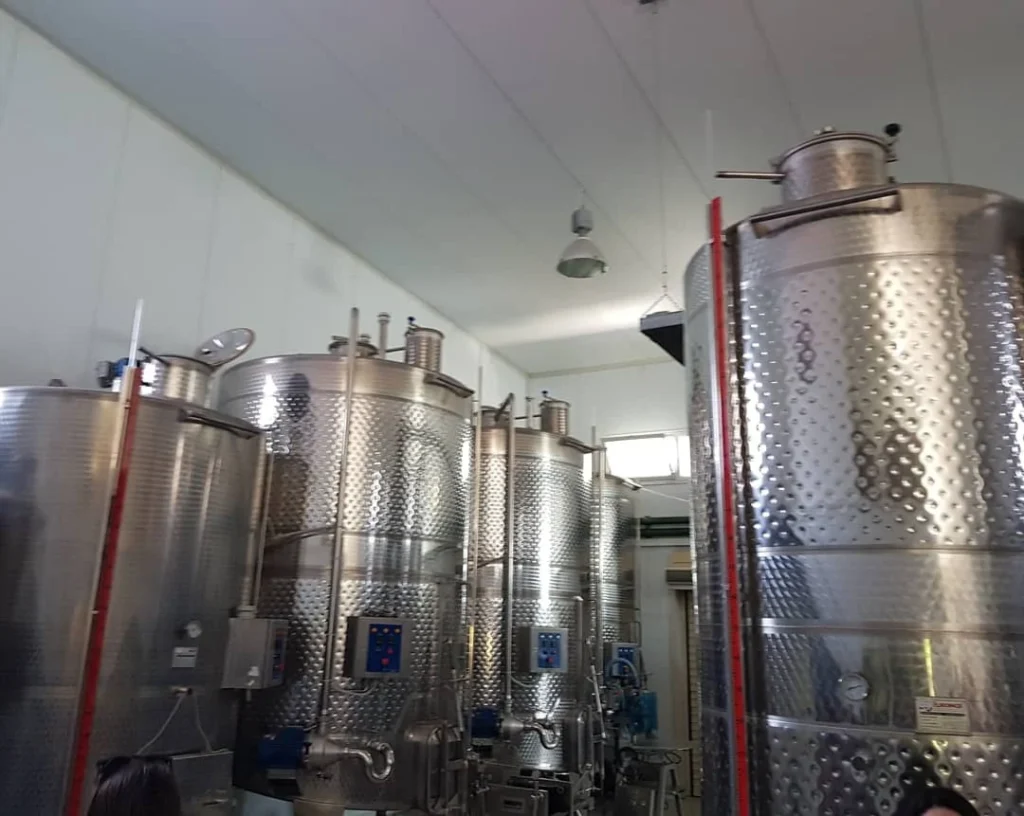 Cruising with Danny and Peter, Holland America Line, Koningsdam, Katakolon, Olympia, Greece | View of Ancient Olympia landmarks during the Katakolon Ancient Olympia Tour, featuring historic ruins and Olympic Games heritage, followed by Sel de Mer seafood dining on a luxurious day trip from Katakolon to Olympia, showcasing Greek cultural exploration and culinary delights.