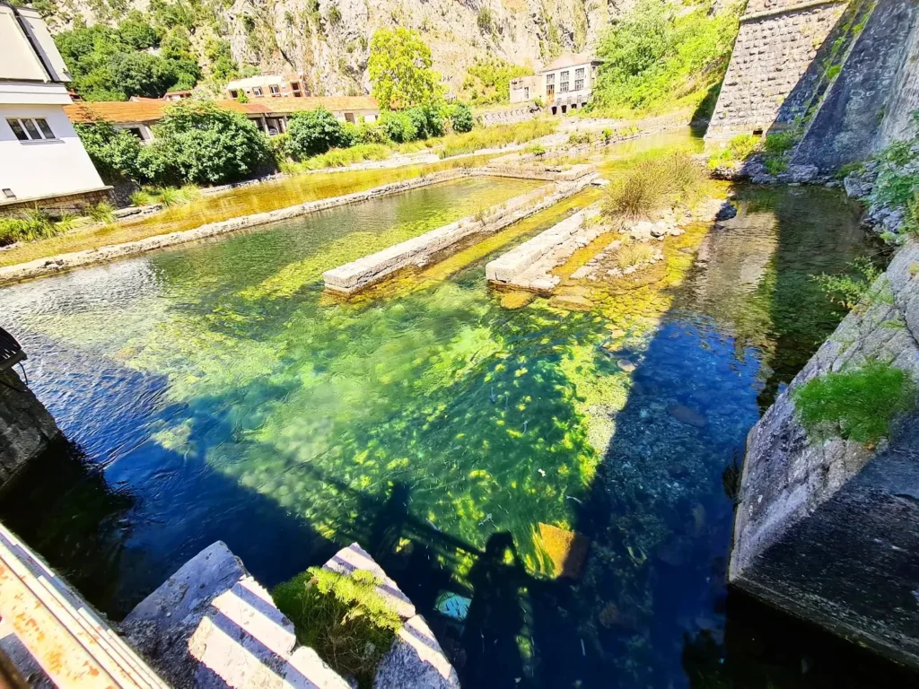 Cruising with Danny and Peter, Holland America Line, Oosterdam, Kotor, Montenegro | Stunning view of Kotor Bay, showcasing the charming villages and scenic beaches of Montenegro. The image features the medieval architecture of Budva Old Town, the crystal-clear waters of Jaz Beach, and the picturesque landscapes of Brajići, highlighting the cultural heritage and natural beauty of the Adriatic Coast.
