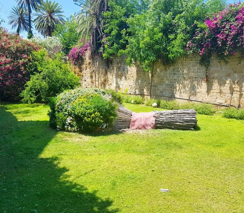 Cruising with Danny and Peter, Holland America Line, Koningsdam, Rhodes, Greece | Exploring Rhodes Greece on an ancient city tour, featuring the medieval streets of Historic Rhodes, the majestic Rhodes Acropolis, and the rich Greek Island History.