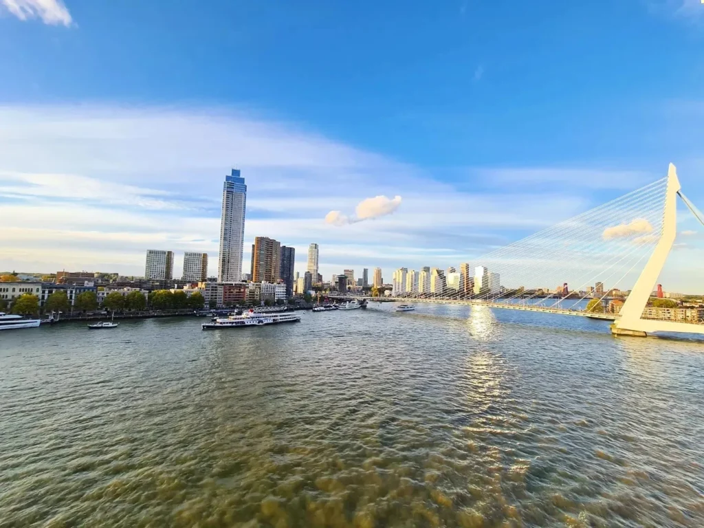 Cruising with Danny and Peter, Holland America Line, Rotterdam, Rotterdam, The Netherlands | A stunning view of the M.S. Rotterdam as it sails away from Rotterdam, celebrating Holland America 150th Anniversary with historic ships in the background. The sunset casts a golden glow on the luxury ocean liner, capturing the excitement of our transatlantic voyage from Rotterdam to New York. A special anniversary menu and Holland America memorabilia highlight this remarkable journey.
