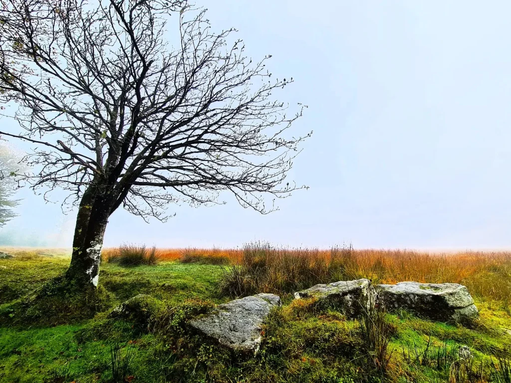 Cruising with Danny and Peter, Holland America Line, Rotterdam, Plymouth, England, Great Britain, United Kingdom | A foggy day in Plymouth Dartmoor showcases an eerie scene of historic churches and spooky graveyards, highlighting the enchanting beauty of Plymouth UK travel. A winding hiking trail through Dartmoor National Park is visible, surrounded by lush greenery and misty landscapes.