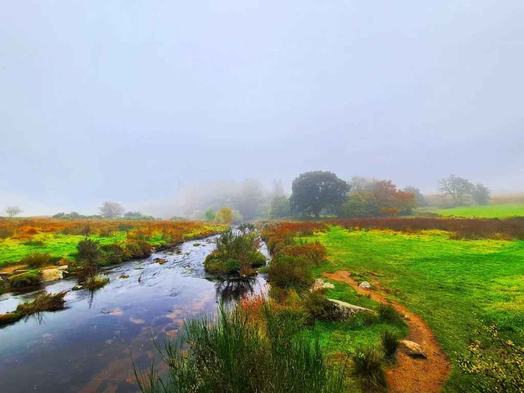 Cruising with Danny and Peter, Holland America Line, Rotterdam, Plymouth, England, Great Britain, United Kingdom | A foggy day in Plymouth Dartmoor showcases an eerie scene of historic churches and spooky graveyards, highlighting the enchanting beauty of Plymouth UK travel. A winding hiking trail through Dartmoor National Park is visible, surrounded by lush greenery and misty landscapes.