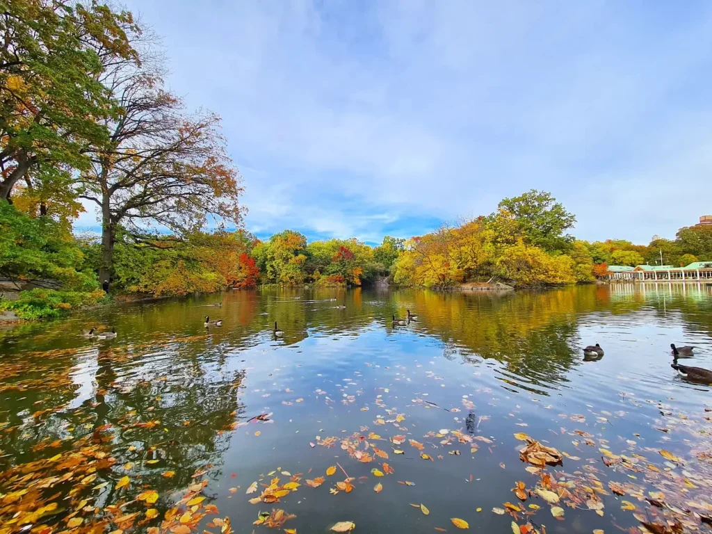 Cruising with Danny and Peter, Holland America Line, Rotterdam, New York, United States | Exploring Central Park New York on a sunny day, with scenic views of iconic landmarks like Bethesda Terrace and Bow Bridge, followed by a cultural visit to The Metropolitan Museum of Art showcasing masterpieces from Rembrandt, Van Gogh, and more.