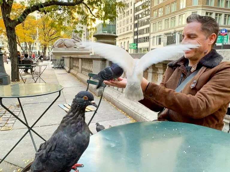 Cruising with Danny and Peter, Holland America Line, Rotterdam, New York, United States | View of iconic New York City landmarks including the Top of the Rock, Saint Patrick's Cathedral, MoMA, and the Flatiron Building, showcasing famous NYC art museums and historic monuments.