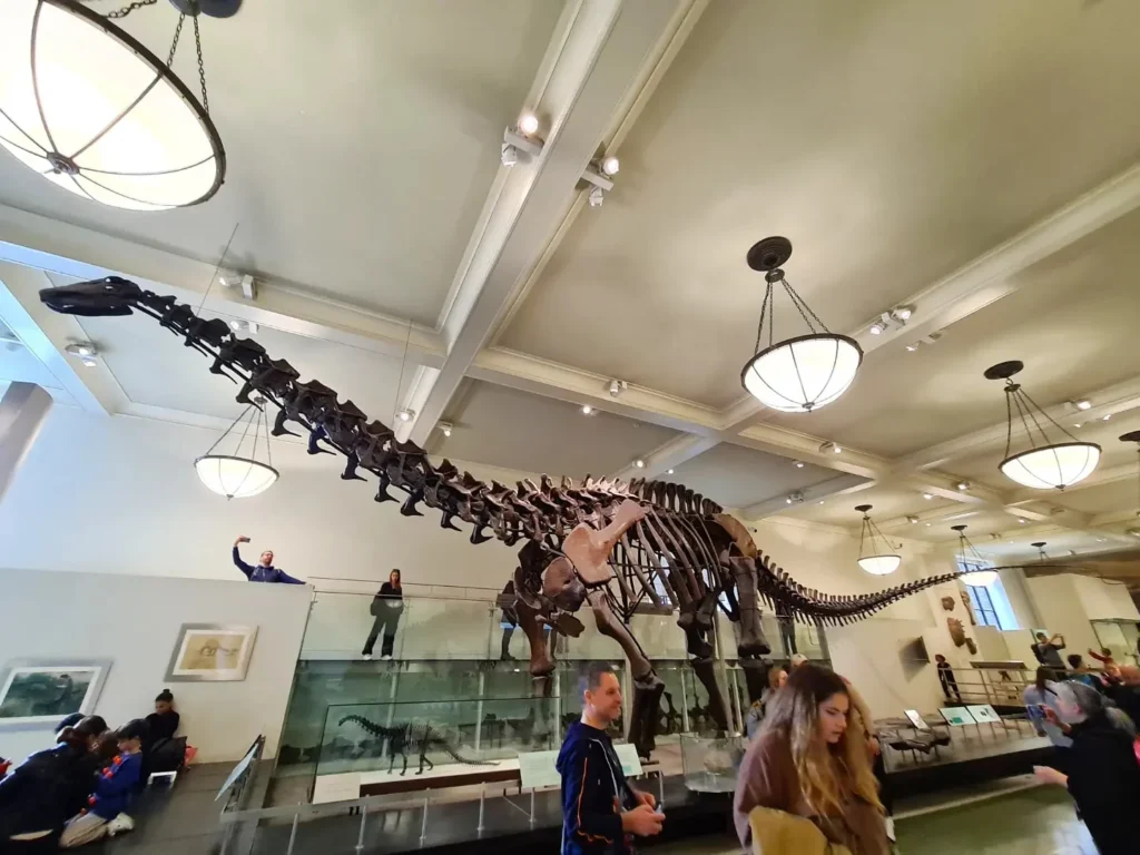 Cruising with Danny and Peter, Holland America Line, Rotterdam, New York, United States | Holland America NYC Trip 150th Anniversary, exploring New York City landmarks, visiting the American Museum of Natural History, strolling through Central Park, and enjoying the Rotterdam cruise ship experience.