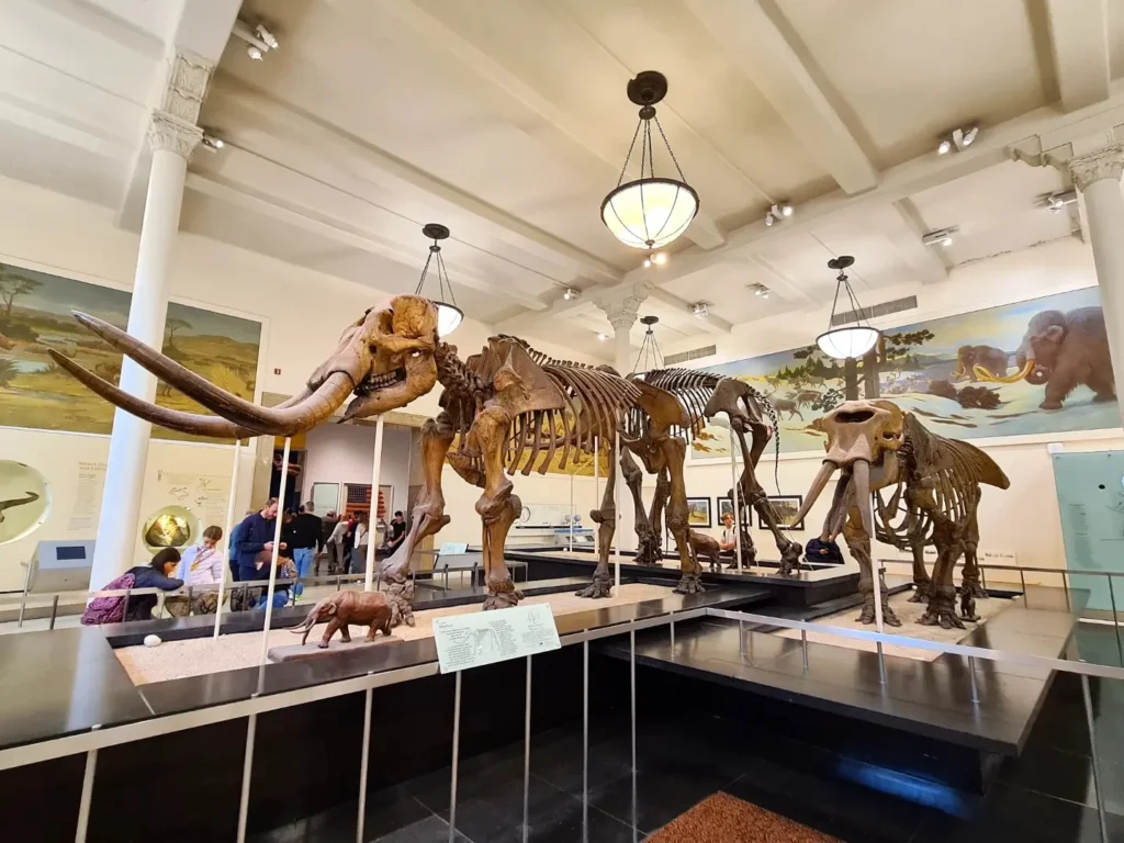 Cruising with Danny and Peter, Holland America Line, Rotterdam, New York, United States | Holland America NYC Trip 150th Anniversary, exploring New York City landmarks, visiting the American Museum of Natural History, strolling through Central Park, and enjoying the Rotterdam cruise ship experience.