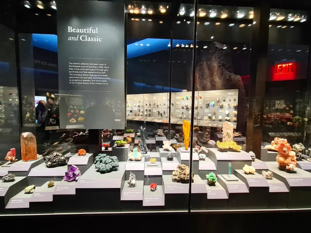 Cruising with Danny and Peter, Holland America Line, Rotterdam, New York, United States | Holland America NYC Trip 150th Anniversary, exploring New York City landmarks, visiting the American Museum of Natural History, strolling through Central Park, and enjoying the Rotterdam cruise ship experience.