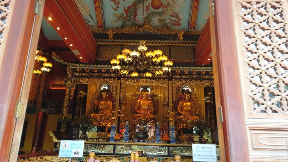 Cruising with Danny and Peter, Holland America Line, Westerdam, Hong Kong, China | A breathtaking view from Ngong Ping 360 cable car showcasing lush landscapes and the South China Sea, capturing the serene beauty of Lantau Island. A majestic shot of the Tian Tan Buddha, surrounded by the tranquil Po Lin Monastery, illustrating the cultural richness of Hong Kong. The vibrant skyline of Hong Kong from Victoria Peak, highlighting the dynamic cityscape during sunset, with twinkling lights illuminating the urban landscape, representing the perfect blend of nature and urbanity in these unforgettable Hong Kong Adventures.