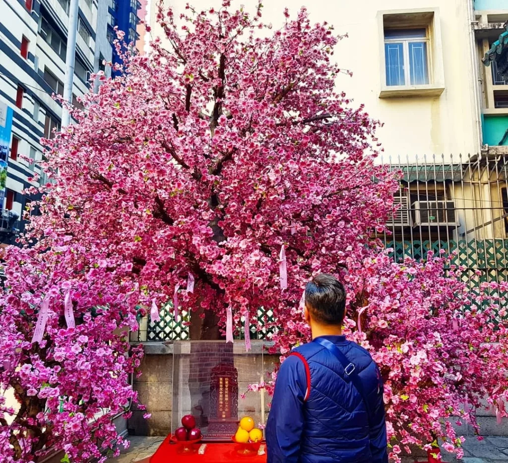 Cruising with Danny and Peter, Holland America Line, Westerdam, Hong Kong, China | A vibrant scene of Hong Kong's skyline during sunset, showcasing the majestic Westerdam cruise ship docked at the harbor, with tourists exploring the iconic Man Mo Temple, highlighting the cultural richness and luxury of a Hong Kong cruise experience.