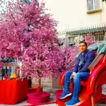 Cruising with Danny and Peter, Holland America Line, Westerdam, Hong Kong, China | A vibrant scene of Hong Kong's skyline during sunset, showcasing the majestic Westerdam cruise ship docked at the harbor, with tourists exploring the iconic Man Mo Temple, highlighting the cultural richness and luxury of a Hong Kong cruise experience.