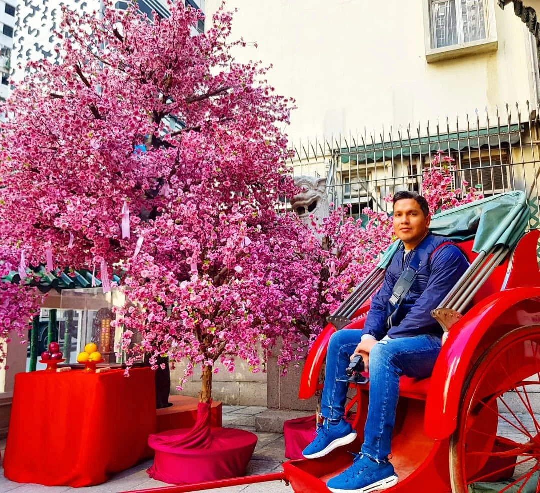 Cruising with Danny and Peter, Holland America Line, Westerdam, Hong Kong, China | A vibrant scene of Hong Kong's skyline during sunset, showcasing the majestic Westerdam cruise ship docked at the harbor, with tourists exploring the iconic Man Mo Temple, highlighting the cultural richness and luxury of a Hong Kong cruise experience.