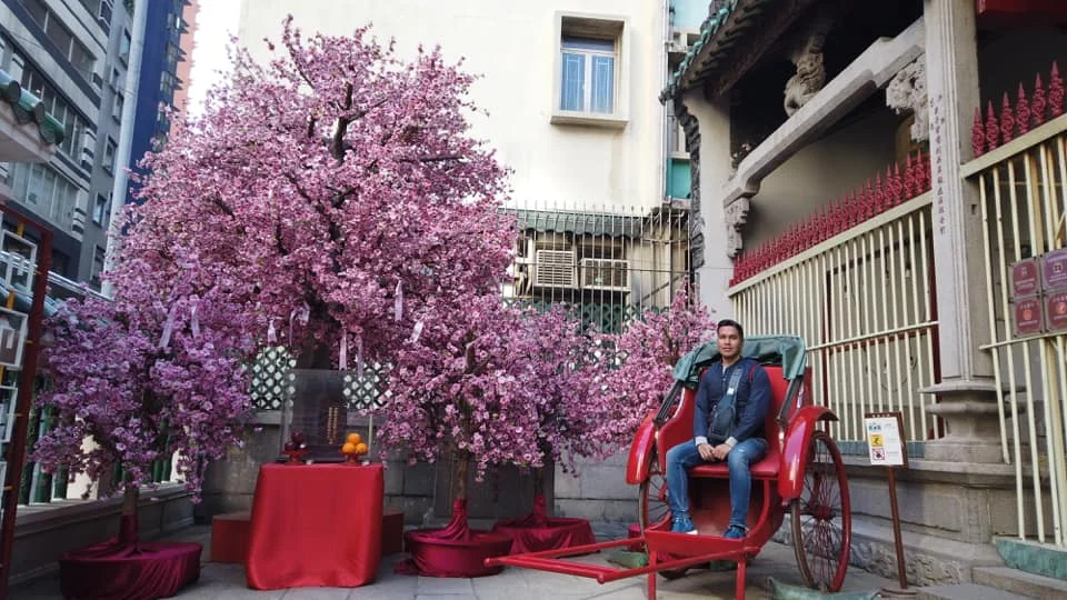 Cruising with Danny and Peter, Holland America Line, Westerdam, Hong Kong, China | A vibrant scene of Hong Kong's skyline during sunset, showcasing the majestic Westerdam cruise ship docked at the harbor, with tourists exploring the iconic Man Mo Temple, highlighting the cultural richness and luxury of a Hong Kong cruise experience.