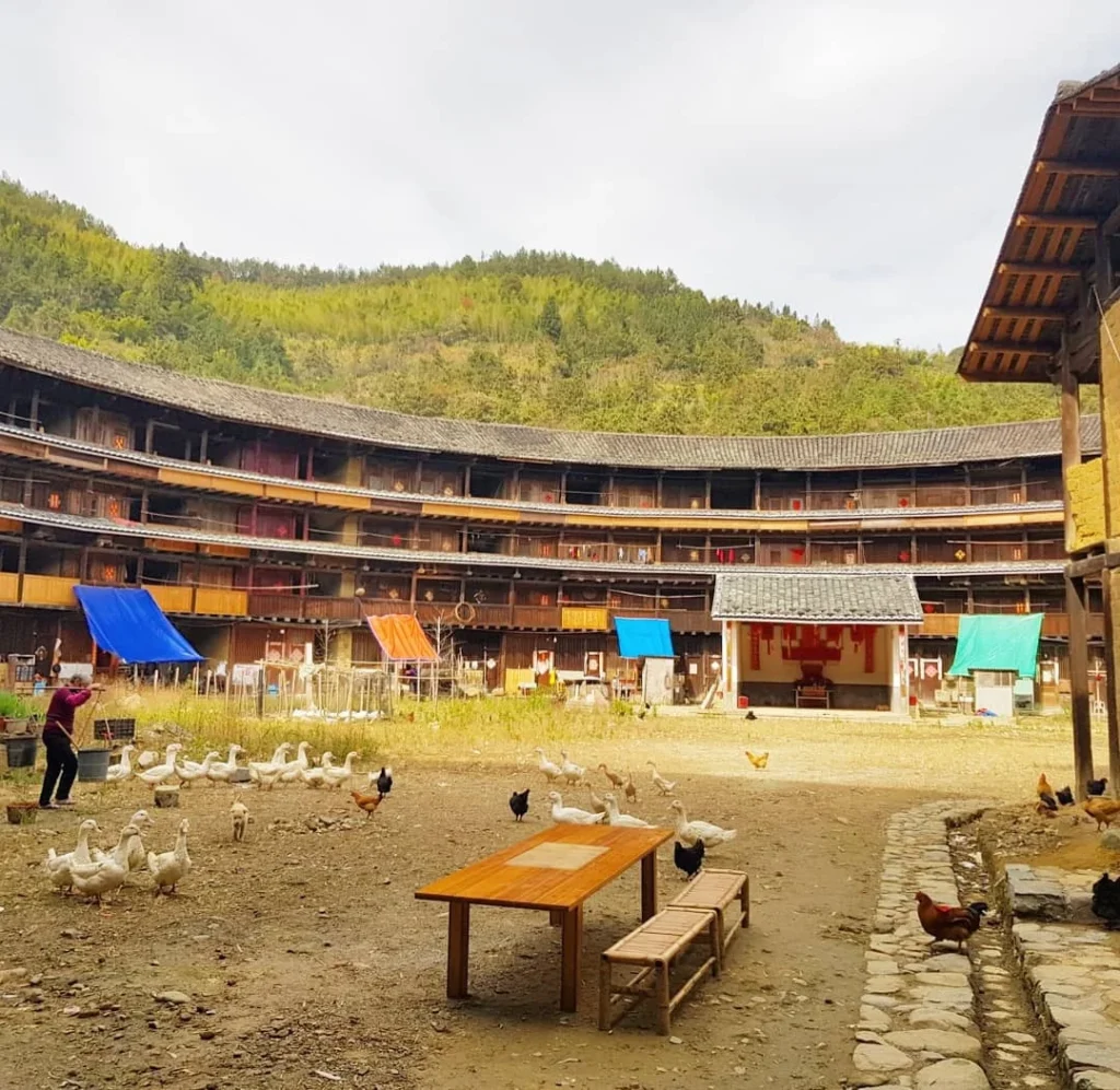 Xiamen Cruise Port: Our Complete Guide + Insider Tips 2026 (Visited Once in 2019 by Danny and Peter) 10 Cruising with Danny and Peter, Holland America Line, Westerdam, Xiamen, China | Exterior and interior views of Fujian Tulou, featuring traditional Hakka earthen architecture and intricate wooden carvings. Showcasing scenic Fujian Province landscapes and communal living structures at the UNESCO World Heritage site in Xiamen.