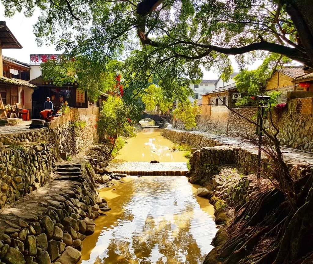 Xiamen Cruise Port: Our Complete Guide + Insider Tips 2026 (Visited Once in 2019 by Danny and Peter) 14 Cruising with Danny and Peter, Holland America Line, Westerdam, Xiamen, China | Exterior and interior views of Fujian Tulou, featuring traditional Hakka earthen architecture and intricate wooden carvings. Showcasing scenic Fujian Province landscapes and communal living structures at the UNESCO World Heritage site in Xiamen.