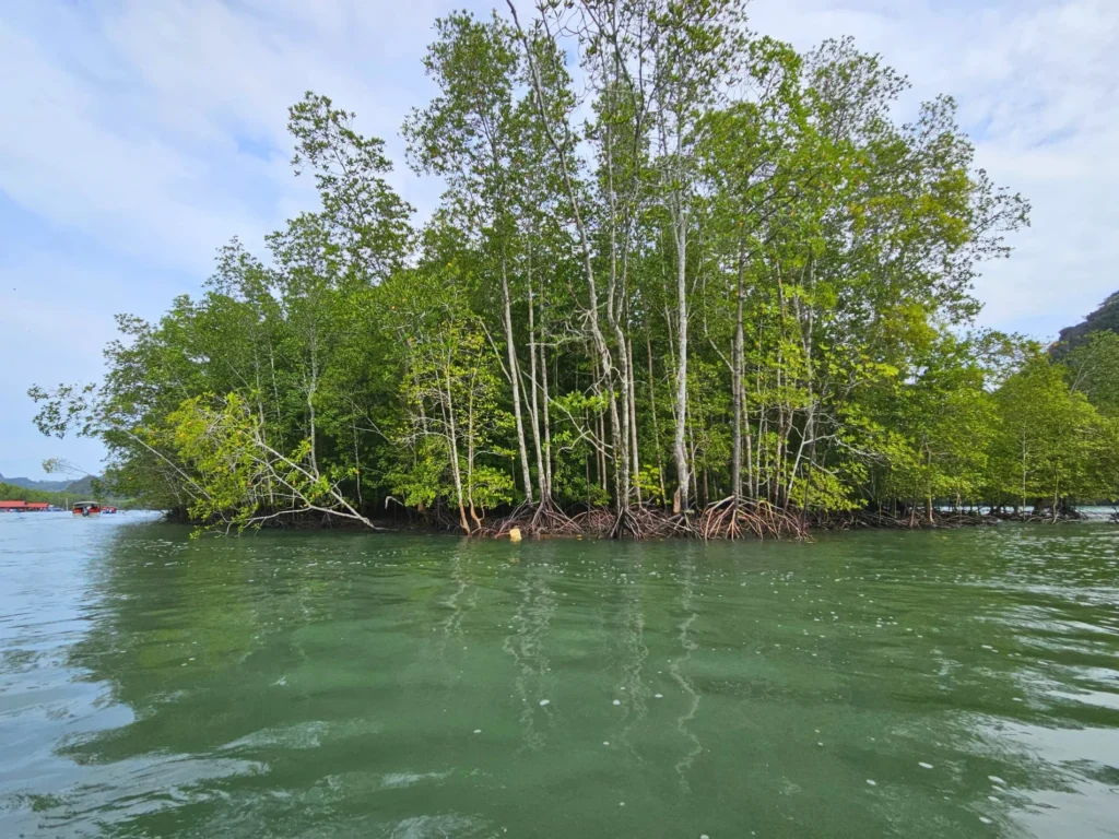 Cruising with Danny and Peter, Holland America Line, Westerdam, Porto Malai, Langkawi, Malaysia | Scenic views of Porto Malai Marina with yachts, private boat cruising through Kilim Karst Geoforest's mangroves, majestic eagles soaring above, and panoramic vistas from the Langkawi Sky Bridge and Cable Car overlooking lush rainforests and the Andaman Sea during a Langkawi Day Trip.