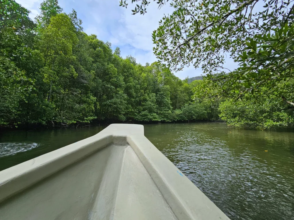 Cruising with Danny and Peter, Holland America Line, Westerdam, Porto Malai, Langkawi, Malaysia | Scenic views of Porto Malai Marina with yachts, private boat cruising through Kilim Karst Geoforest's mangroves, majestic eagles soaring above, and panoramic vistas from the Langkawi Sky Bridge and Cable Car overlooking lush rainforests and the Andaman Sea during a Langkawi Day Trip.