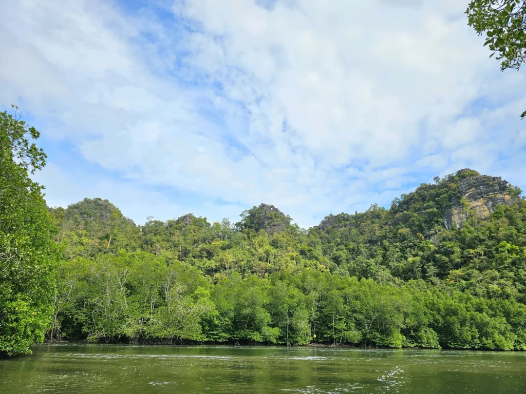 Cruising with Danny and Peter, Holland America Line, Westerdam, Porto Malai, Langkawi, Malaysia | Scenic views of Porto Malai Marina with yachts, private boat cruising through Kilim Karst Geoforest's mangroves, majestic eagles soaring above, and panoramic vistas from the Langkawi Sky Bridge and Cable Car overlooking lush rainforests and the Andaman Sea during a Langkawi Day Trip.