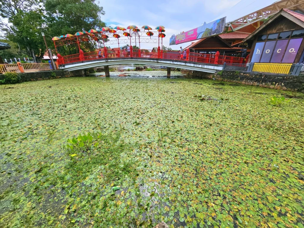 Cruising with Danny and Peter, Holland America Line, Westerdam, Porto Malai, Langkawi, Malaysia | Scenic views of Porto Malai Marina with yachts, private boat cruising through Kilim Karst Geoforest's mangroves, majestic eagles soaring above, and panoramic vistas from the Langkawi Sky Bridge and Cable Car overlooking lush rainforests and the Andaman Sea during a Langkawi Day Trip.