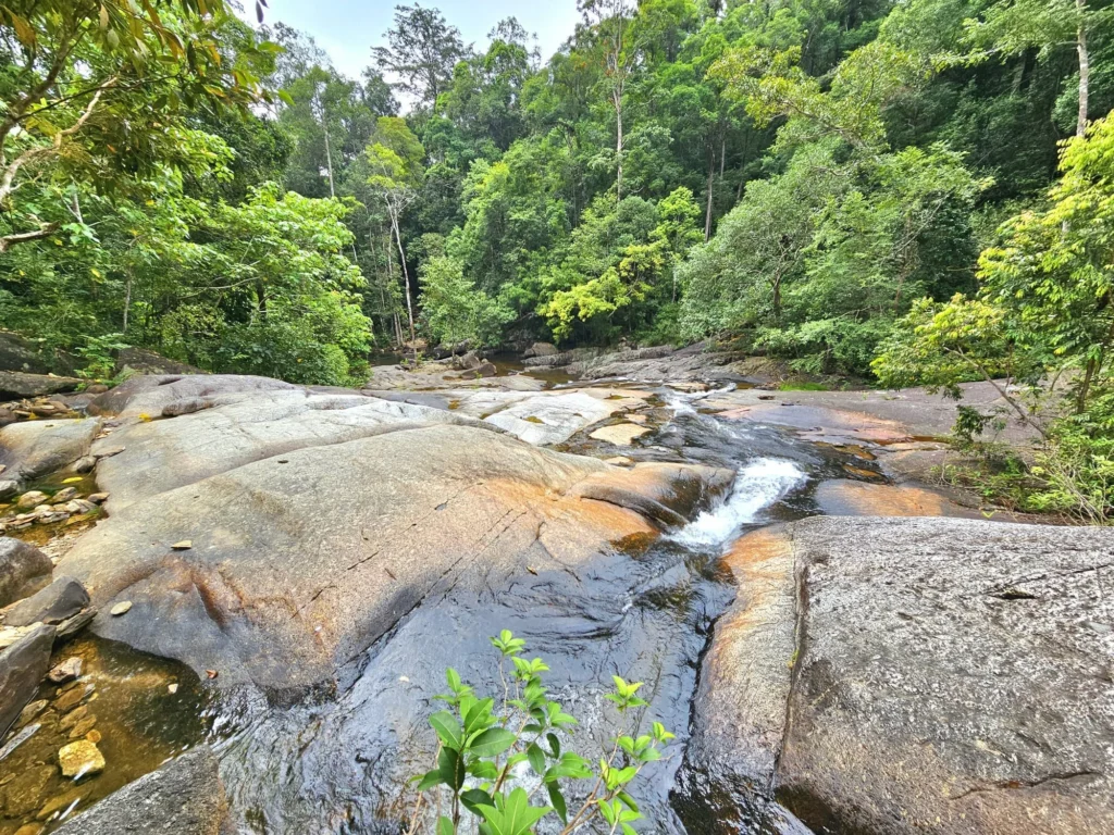 Cruising with Danny and Peter, Holland America Line, Westerdam, Porto Malai, Langkawi, Malaysia | Scenic views of Porto Malai Marina with yachts, private boat cruising through Kilim Karst Geoforest's mangroves, majestic eagles soaring above, and panoramic vistas from the Langkawi Sky Bridge and Cable Car overlooking lush rainforests and the Andaman Sea during a Langkawi Day Trip.