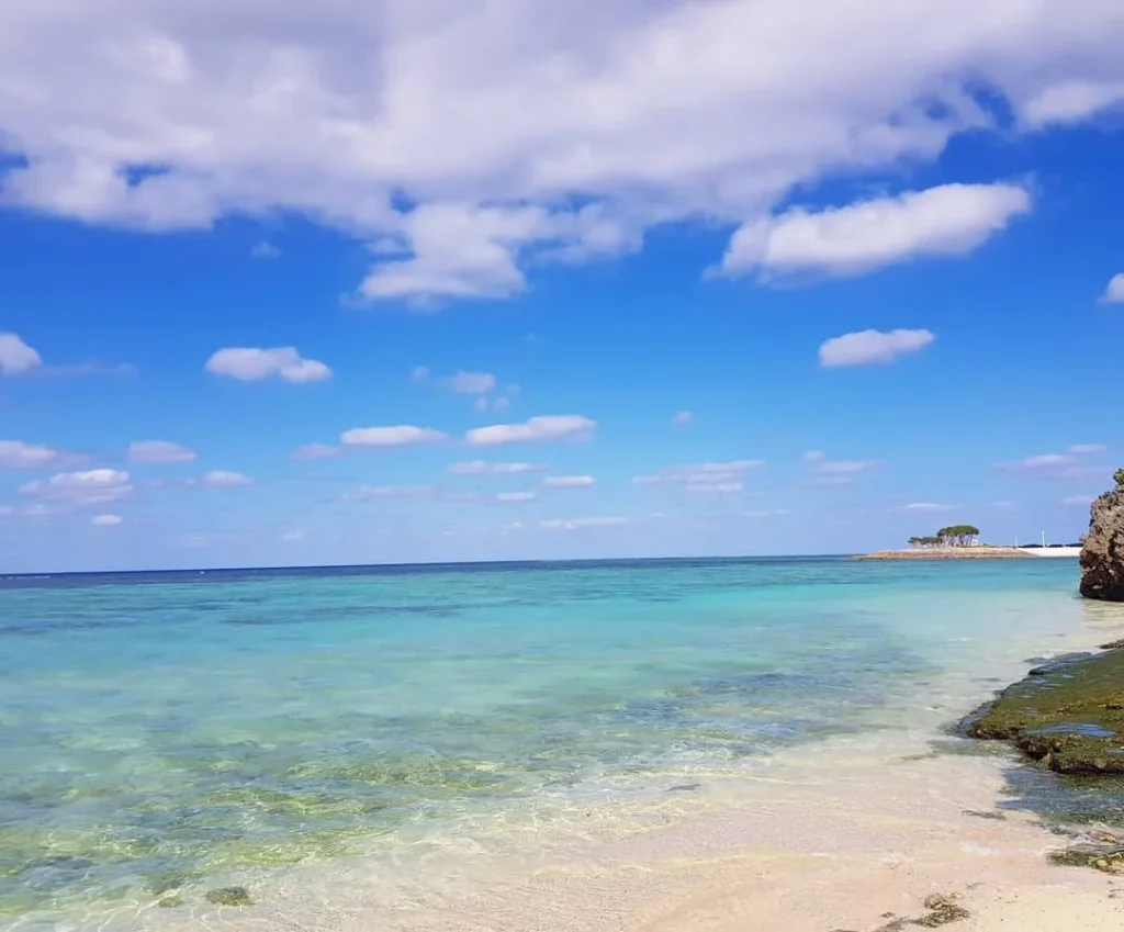 Cruising with Danny and Peter, Holland America Line, Westerdam, Naha, Japan | Explore the vibrant marine life at Naha Aquarium Okinawa, featuring stunning exhibits like the Kuroshio Sea tank with whale sharks, the engaging Dolphin Lagoon, and colorful coral reef ecosystems, showcasing the rich biodiversity and commitment to Okinawa marine conservation.