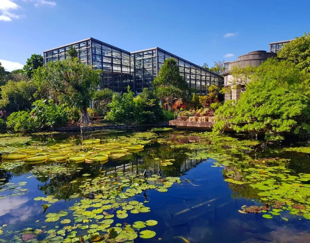 Cruising with Danny and Peter, Holland America Line, Westerdam, Naha, Japan | Explore the vibrant marine life at Naha Aquarium Okinawa, featuring stunning exhibits like the Kuroshio Sea tank with whale sharks, the engaging Dolphin Lagoon, and colorful coral reef ecosystems, showcasing the rich biodiversity and commitment to Okinawa marine conservation.