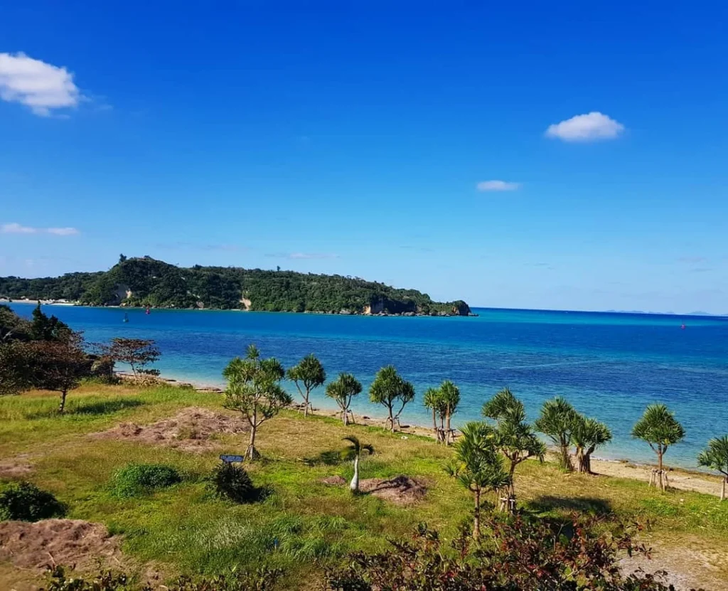 Cruising with Danny and Peter, Holland America Line, Westerdam, Naha, Japan | Explore the vibrant marine life at Naha Aquarium Okinawa, featuring stunning exhibits like the Kuroshio Sea tank with whale sharks, the engaging Dolphin Lagoon, and colorful coral reef ecosystems, showcasing the rich biodiversity and commitment to Okinawa marine conservation.
