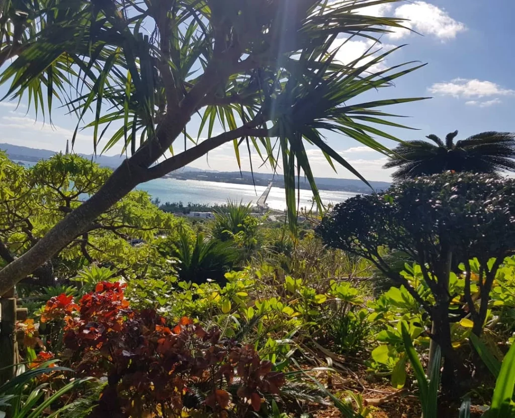 Cruising with Danny and Peter, Holland America Line, Westerdam, Naha, Japan | Explore the vibrant marine life at Naha Aquarium Okinawa, featuring stunning exhibits like the Kuroshio Sea tank with whale sharks, the engaging Dolphin Lagoon, and colorful coral reef ecosystems, showcasing the rich biodiversity and commitment to Okinawa marine conservation.