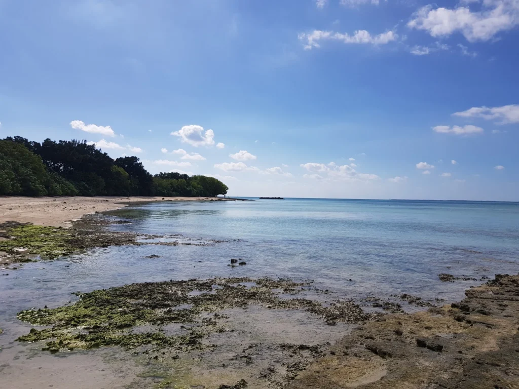 Cruising with Danny and Peter, Holland America Line, Westerdam, Ishigaki Island, Japan | Scenic views of Ishigaki Island cycling adventures showcasing vibrant beaches, lush landscapes, and cyclists enjoying the coastal routes, highlighting the beauty of Okinawa Island cycling experiences and tropical cycling destinations.
