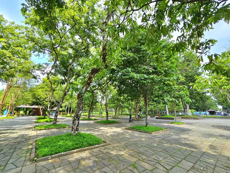 Cruising with Danny and Peter, Holland America Line, Westerdam, Semarang, Java, Indonesia, Borobudur Temple Cruise, Java Adventure | Panoramic view of Borobudur during a Borobudur Temple Cruise, showcasing the UNESCO Buddhist Temple amidst Central Java’s lush hills, with the Westerdam ship docked for the Holland America Westerdam Borobudur Tour, a Luxury Cruise Java adventure in Holland America Far East. Close-up of stupas and Buddha statues at Borobudur, reflecting Mahayana Buddhist Heritage, alongside a vibrant market scene from a Semarang Java Tour, part of an Indonesian Cultural Journey. Travelers explore this Borobudur Pilgrimage Site on a Central Java Travel excursion, enjoying a stunning sunset over the 9th-Century Temple Exploration, with detailed stone reliefs of the UNESCO Buddhist Temple and relaxation on the Westerdam deck during a Westerdam Cruise Indonesia.
